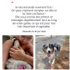Images de profil de Lina - Blooming Pets - Petsitting et garde d'animaux à domicile