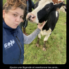 Images de profil de Lisa - Blooming Pets - Petsitting et garde d'animaux à domicile