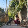 Images de profil de Lisa - Blooming Pets - Petsitting et garde d'animaux à domicile