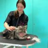 Images de profil de Lise - Blooming Pets - Petsitting et garde d'animaux à domicile