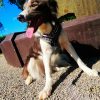 Images de profil de Audrey - Blooming Pets - Petsitting et garde d'animaux à domicile