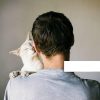 Images de profil de Laurent - Blooming Pets - Petsitting et garde d'animaux à domicile