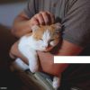 Images de profil de Laurent - Blooming Pets - Petsitting et garde d'animaux à domicile