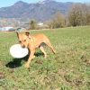 Images de profil de Loïse - Blooming Pets - Petsitting et garde d'animaux à domicile