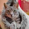 Louise - Blooming Pets - Petsitting et garde d'animaux à domicile