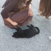 Images de profil de Louna - Blooming Pets - Petsitting et garde d'animaux à domicile