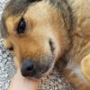 Images de profil de Louna - Blooming Pets - Petsitting et garde d'animaux à domicile