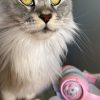 Images de profil de Vanessa - Blooming Pets - Petsitting et garde d'animaux à domicile