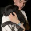Images de profil de LUBIN - Blooming Pets - Petsitting et garde d'animaux à domicile