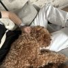Images de profil de LUBIN - Blooming Pets - Petsitting et garde d'animaux à domicile