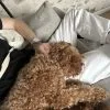 Images de profil de LUBIN - Blooming Pets - Petsitting et garde d'animaux à domicile