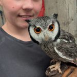 Image de profil de Lucie - Blooming Pets - Petsitting et garde d'animaux à domicile