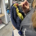 Goya Mon Oiseau en cage  Perruche à Collier Femelle - Garde d'animaux à domicile
