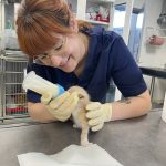 Image de profil de Lucie - Blooming Pets - Petsitting et garde d'animaux à domicile