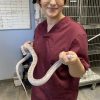 Images de profil de Lucie - Blooming Pets - Petsitting et garde d'animaux à domicile