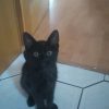 Images de profil de Lucie - Blooming Pets - Petsitting et garde d'animaux à domicile