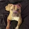 Images de profil de Luna - Blooming Pets - Petsitting et garde d'animaux Ă domicile