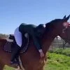 Images de profil de Luna - Blooming Pets - Petsitting et garde d'animaux Ă domicile