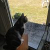 Images de profil de Luna - Blooming Pets - Petsitting et garde d'animaux à domicile