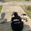 Images de profil de Luna - Blooming Pets - Petsitting et garde d'animaux à domicile