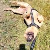 Images de profil de Justine - Blooming Pets - Petsitting et garde d'animaux à domicile