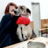Images de profil de Elena - Blooming Pets - Petsitting et garde d'animaux à domicile
