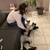 Images de profil de Lysiane - Blooming Pets - Petsitting et garde d'animaux à domicile