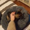 Images de profil de Lysiane - Blooming Pets - Petsitting et garde d'animaux à domicile