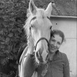 SISCO Mon Cheval  Barbe Hongre - Garde d'animaux à domicile