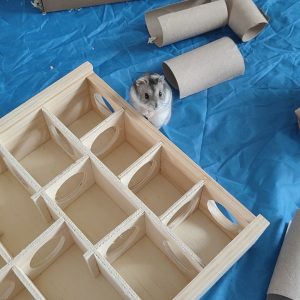 Images de profil de Maé - Blooming Pets - Petsitting et garde d'animaux à domicile