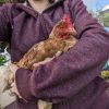 Images de profil de Maëlle - Blooming Pets - Petsitting et garde d'animaux à domicile