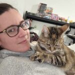 Tybis Mon Chat  Européen Femelle stérilisée - Garde d'animaux à domicile
