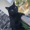 Images de profil de Maissa - Blooming Pets - Petsitting et garde d'animaux à domicile