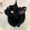Images de profil de Maissa - Blooming Pets - Petsitting et garde d'animaux à domicile