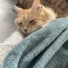 Images de profil de Manon - Blooming Pets - Petsitting et garde d'animaux à domicile