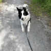 Images de profil de Manon - Blooming Pets - Petsitting et garde d'animaux à domicile