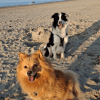 Images de profil de Manon - Blooming Pets - Petsitting et garde d'animaux à domicile