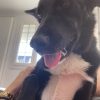 Images de profil de Manon - Blooming Pets - Petsitting et garde d'animaux à domicile