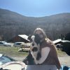 Images de profil de Manon - Blooming Pets - Petsitting et garde d'animaux à domicile