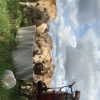 Images de profil de Manon - Blooming Pets - Petsitting et garde d'animaux à domicile
