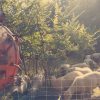 Images de profil de Manon - Blooming Pets - Petsitting et garde d'animaux à domicile