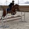 Images de profil de Marie - Blooming Pets - Petsitting et garde d'animaux à domicile