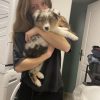 Images de profil de Marie - Blooming Pets - Petsitting et garde d'animaux à domicile