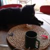 Images de profil de Marie - Blooming Pets - Petsitting et garde d'animaux à domicile