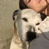 Images de profil de marine - Blooming Pets - Petsitting et garde d'animaux à domicile
