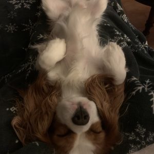 Images de profil de Marine - Blooming Pets - Petsitting et garde d'animaux à domicile