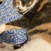 Images de profil de Marine - Blooming Pets - Petsitting et garde d'animaux à domicile