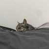 Images de profil de Marine - Blooming Pets - Petsitting et garde d'animaux à domicile