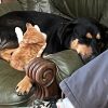 Images de profil de Marine - Blooming Pets - Petsitting et garde d'animaux à domicile