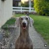 Images de profil de Marine - Blooming Pets - Petsitting et garde d'animaux à domicile